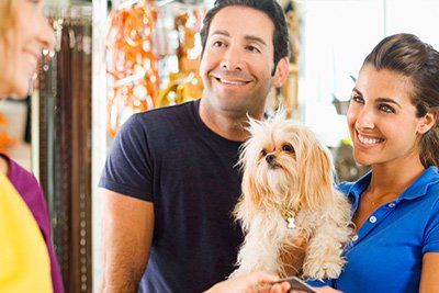 Pet Grooming Services